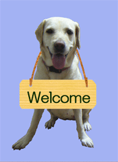 welcome　愛犬ナナ