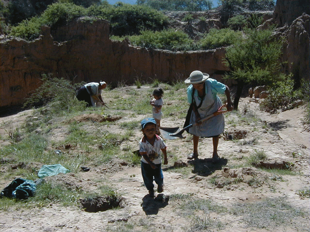 ボリビア画像　タリハ地方