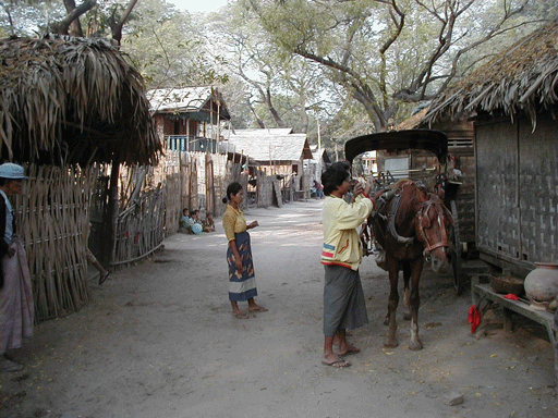 ミャンマー　バガン　馬車画像