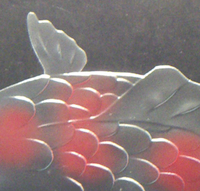 鯉　多段彫り　拡大画像　エッチング技術説明